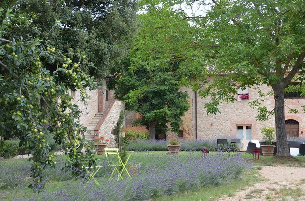 Agriturismo La Segolina Colle Val D'Elsa Eksteriør bilde