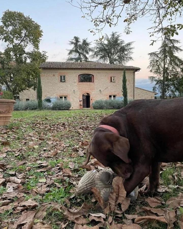 Agriturismo La Segolina Colle Val D'Elsa Eksteriør bilde