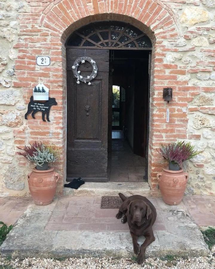 Agriturismo La Segolina Colle Val D'Elsa Eksteriør bilde