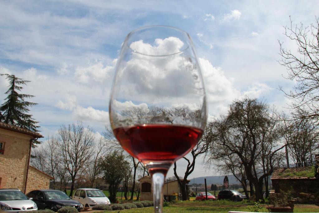 Agriturismo La Segolina Colle Val D'Elsa Eksteriør bilde