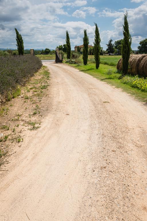 Agriturismo La Segolina Colle Val D'Elsa Eksteriør bilde
