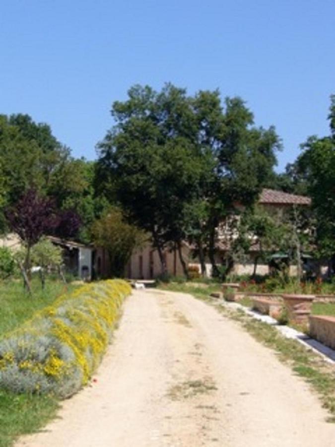 Agriturismo La Segolina Colle Val D'Elsa Eksteriør bilde